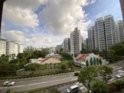 The Cairnhill (D9), Condominium #596520751